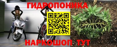 2c-b Будённовск