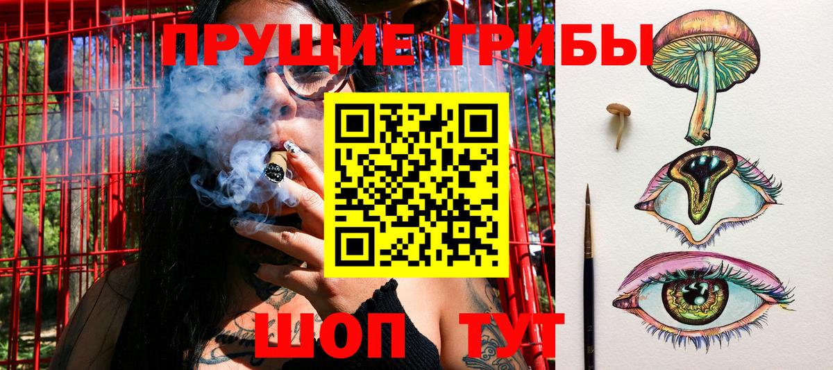Коммунар  Псилоцибиновые грибы Psilocybine cubensis  Вход с VPN 