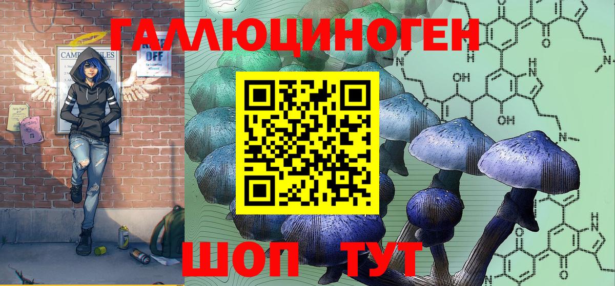 Галлюциногенные грибы Psilocybe Коммунар